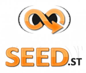 SeedST VPN