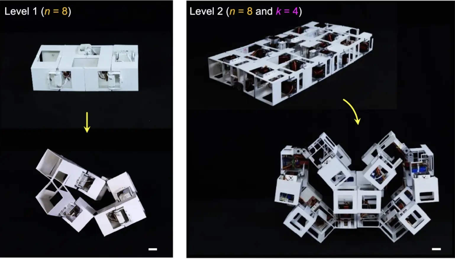 La Universidad Estatal de Carolina del Norte Desarrolla un Robot Cambiante de Forma Inspirado en el Origami