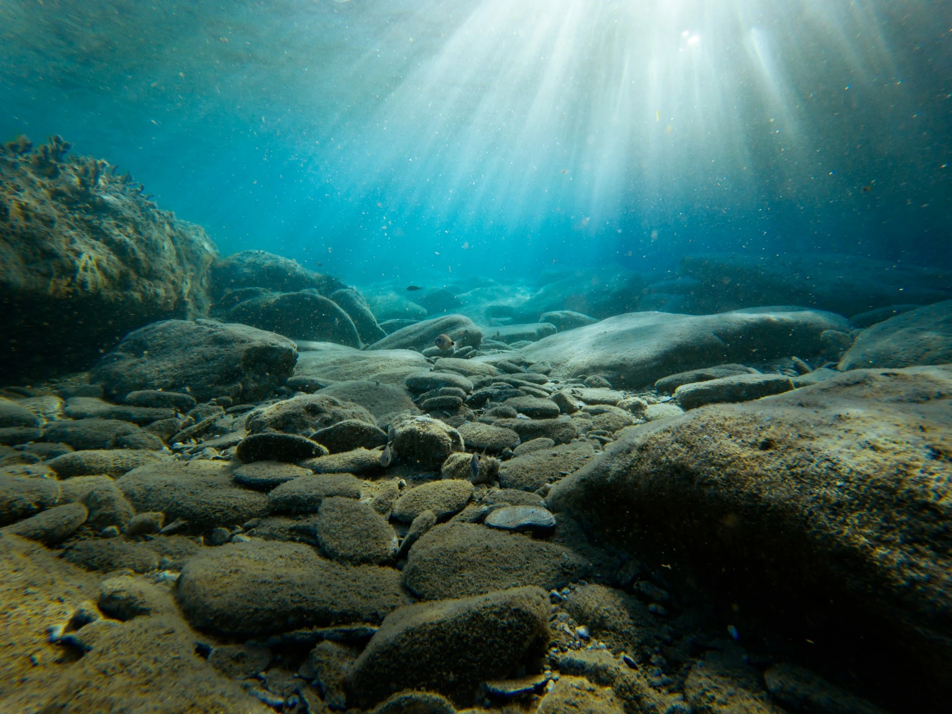 Científicos Descubren Misteriosa Fuente de Oxígeno Producida en el Fondo del Mar