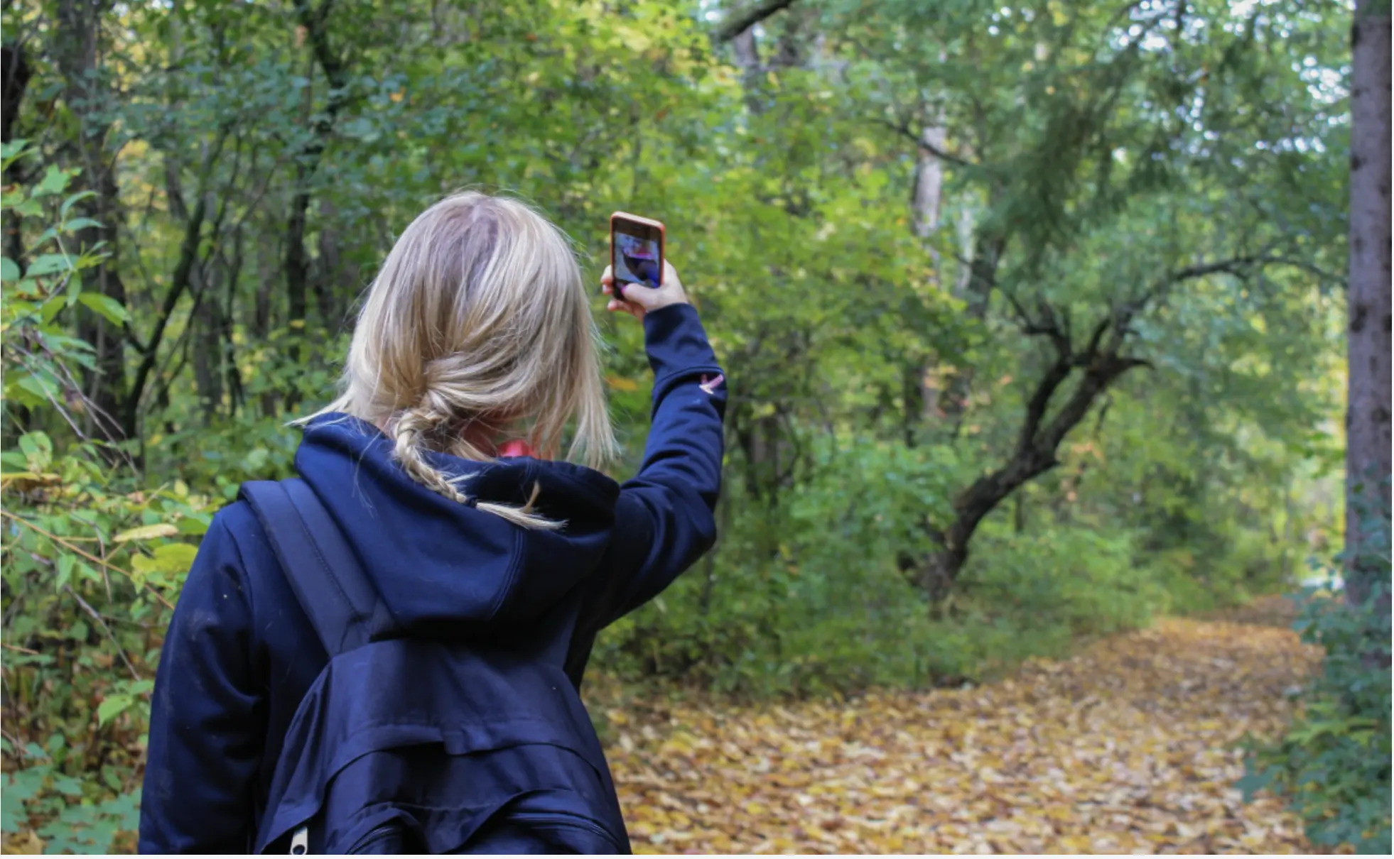 Un Estudio Revela que el Auge de las Redes Sociales en la Fotografía de Naturaleza Daña la Vida Silvestre y los Hábitats