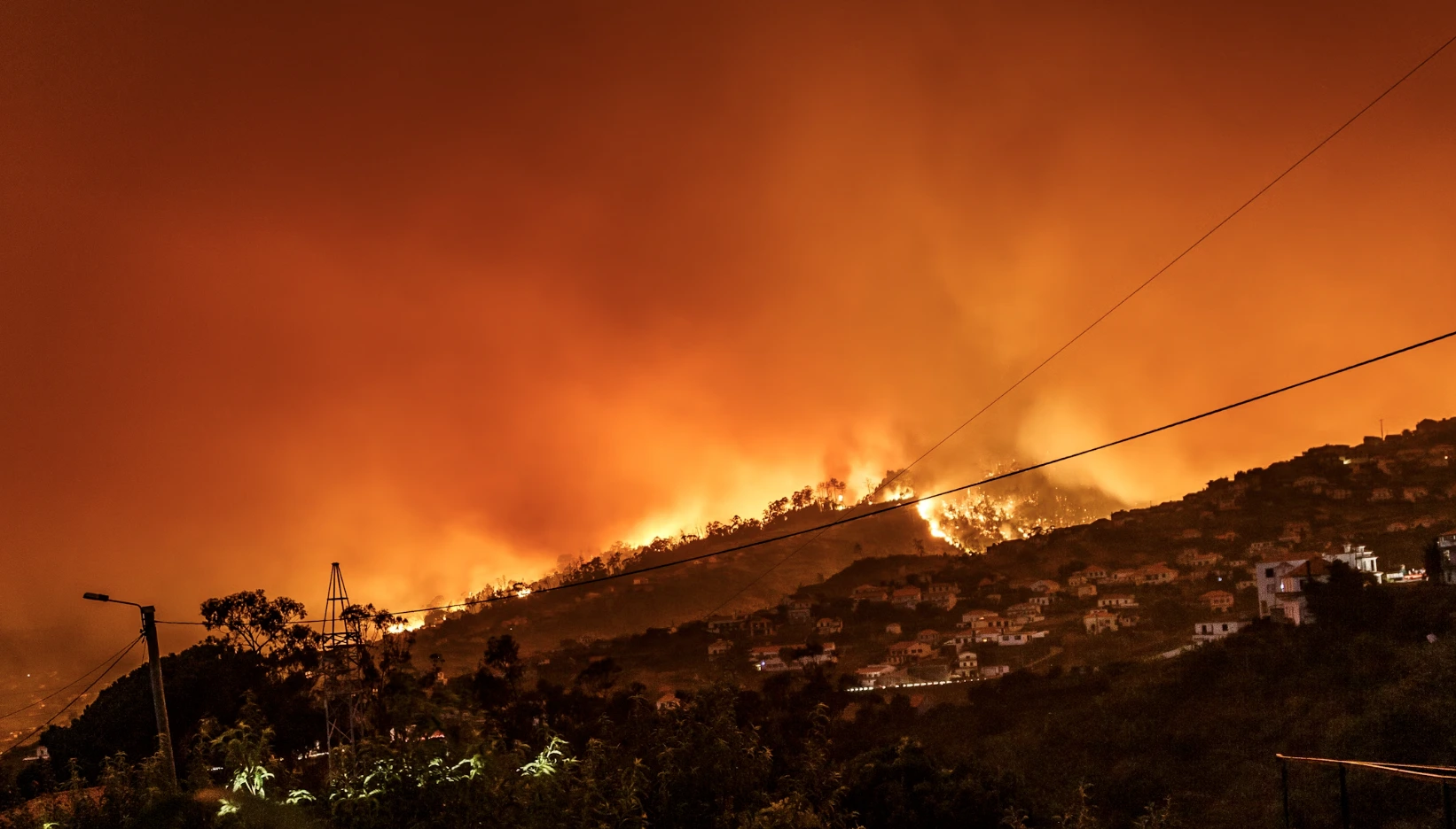 Google Lanza FireSat: Una Nueva Herramienta de IA Para la Detección de Incendios Forestales