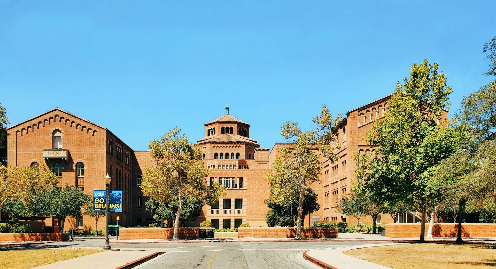 La UCLA presenta un curso de literatura diseñado por IA