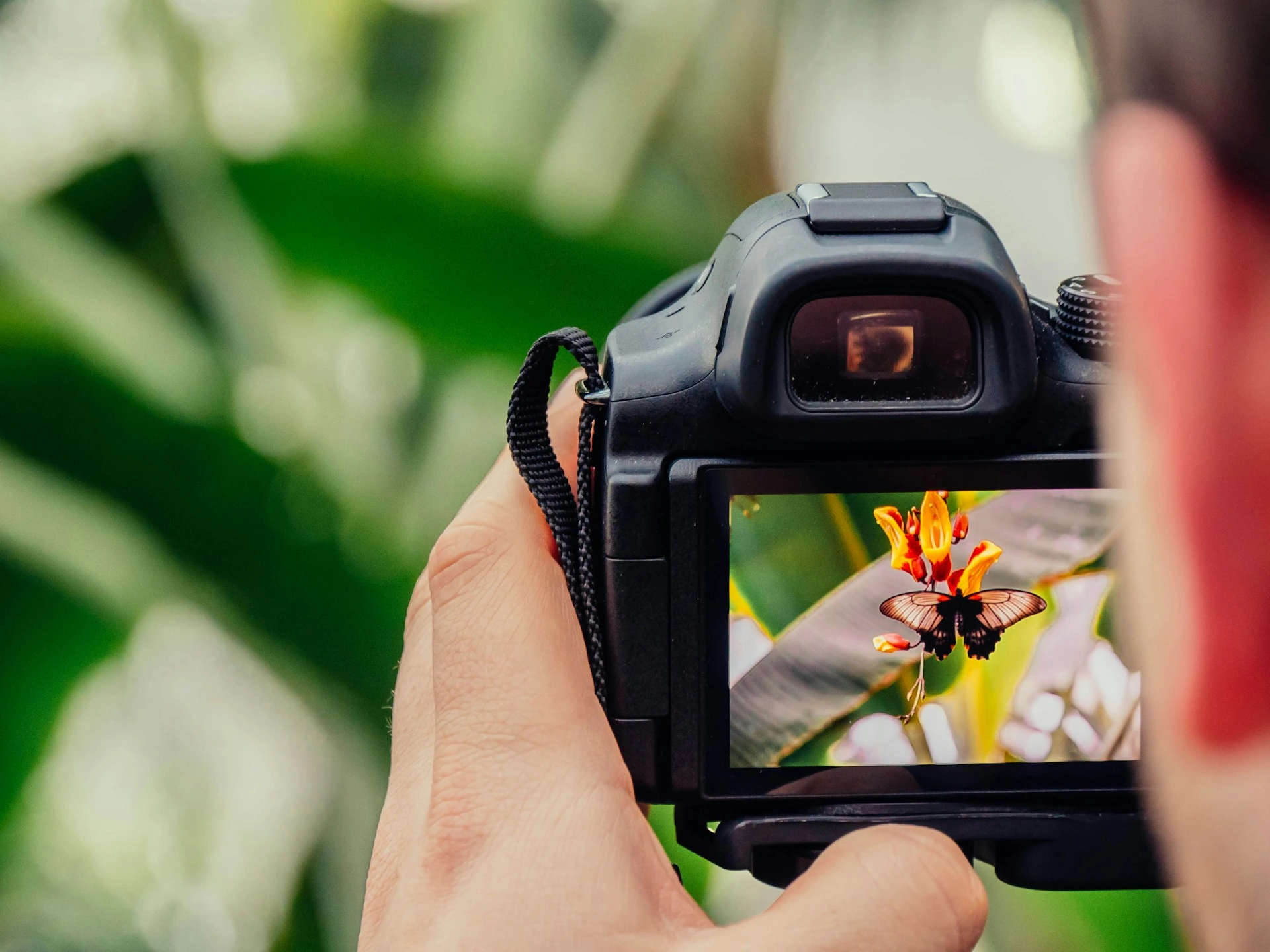 Getty Images se fusionará con su rival Shutterstock para crear una empresa de $3.7 mil millones