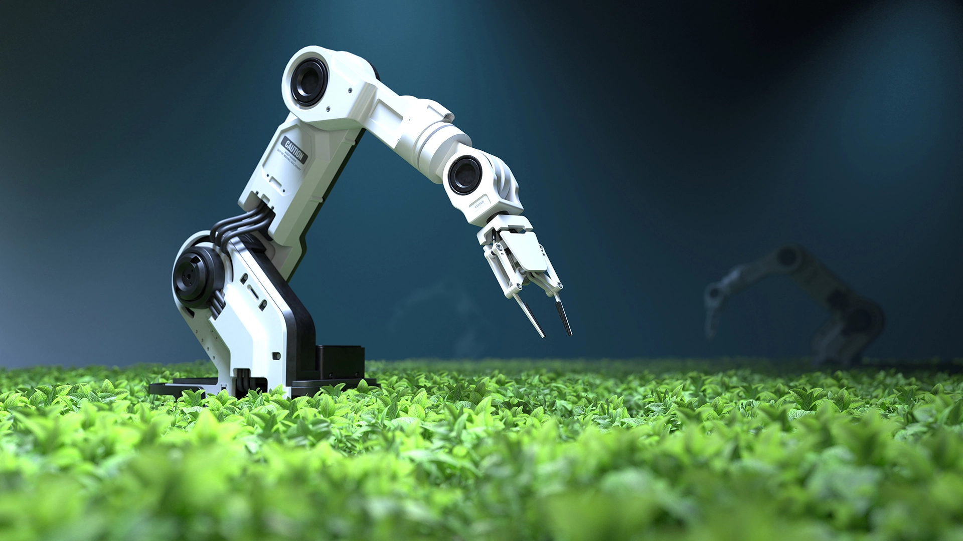 Robots que &ldquo;sienten&rdquo; con sonido podr&iacute;an ayudar en el trabajo agr&iacute;cola