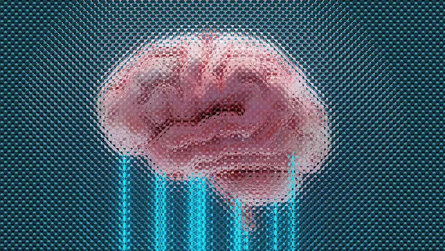 Neuralink asegura 650 millones de d&oacute;lares en la ronda de financiaci&oacute;n de la Serie E